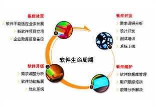 軟件開發技術與信息系統集成服務概述